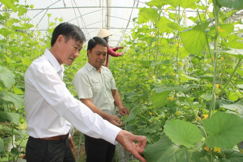 Huyện Lộc Ninh (Bình Phước) đẩy mạnh hỗ trợ vốn cho nông dân phát triển sản xuất