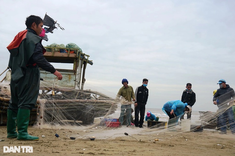 Mỏi tay gỡ cá trích, ngư dân ven biển Thanh Hóa kiếm tiền triệu mỗi ngày