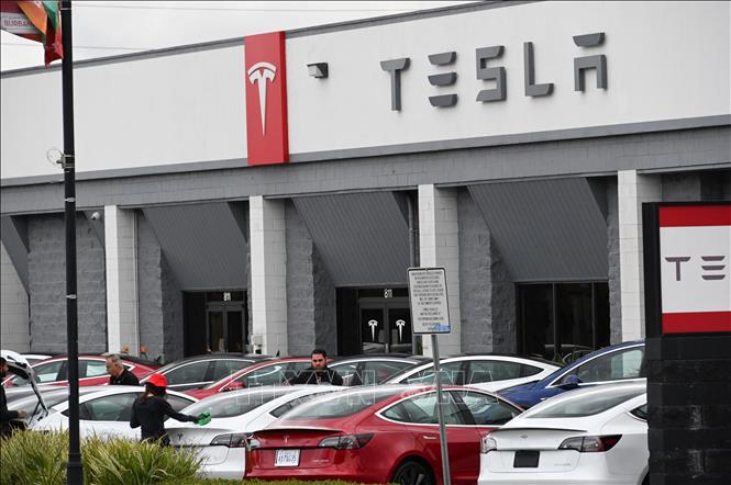 Mức giảm giá xe ô tô điện của Tesla khiến các nhà đầu tư cảm thấy tuyệt vọng