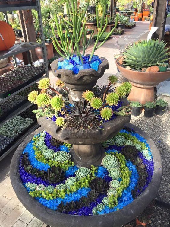 Arrange succulents on old fountains. How to mix the colors of ...