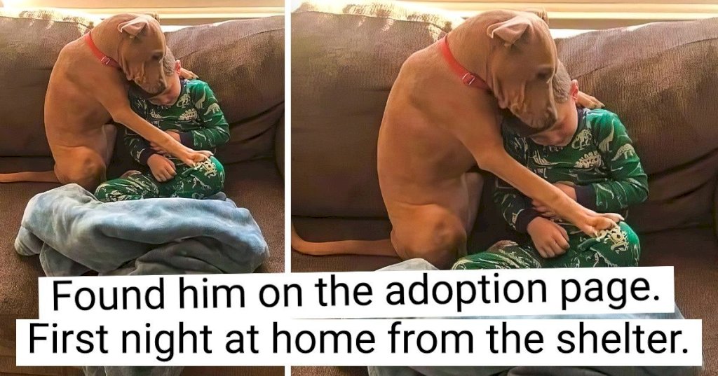 Adorable moments of pet parents and their children