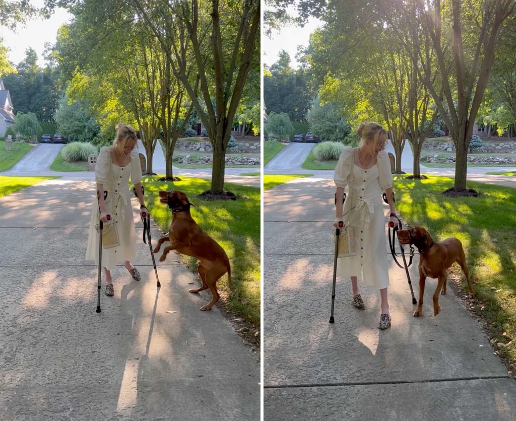 Touching Moment as Service Dog Celebrates Disabled Owner's Miraculous First Steps in Years