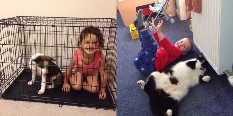 Tiny Copycats: A Heartwarming Collection of Babies Imitating the Actions of Irresistible Pets