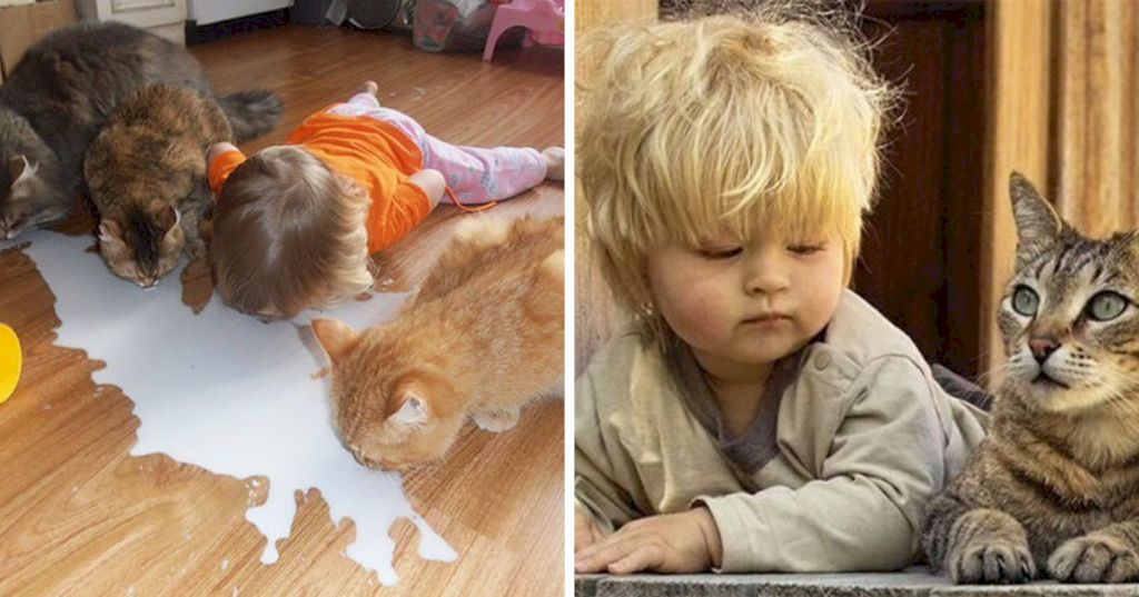 Cute Copycats: Heartwarming Moments of Babies Imitating Their Irresistible Pets._Baby Babbles