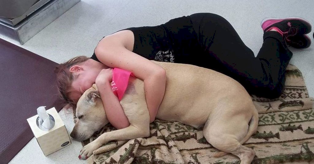 Dog owner captures last moments with her dying baby. These 10 pictures show what love really is