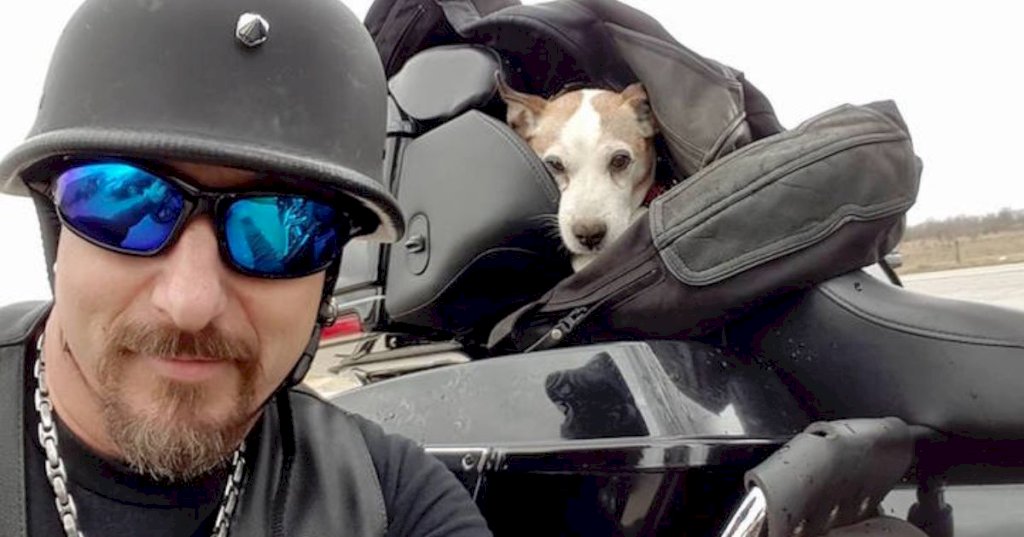 Biker sees man beating dog on highway so he rescues the canine and makes him his new co-pilot