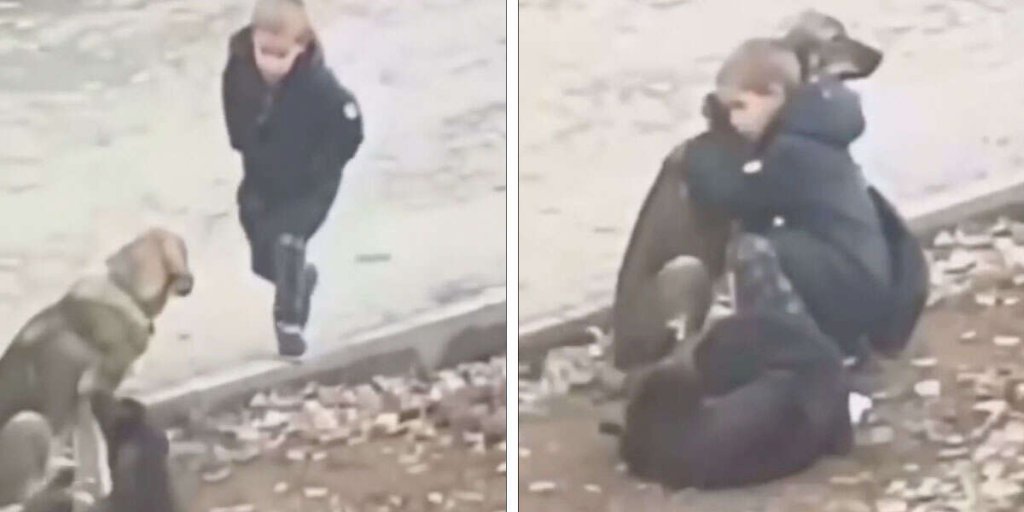 Boy Stops To Hug Stray Dogs When He Thinks That No One's Watching
