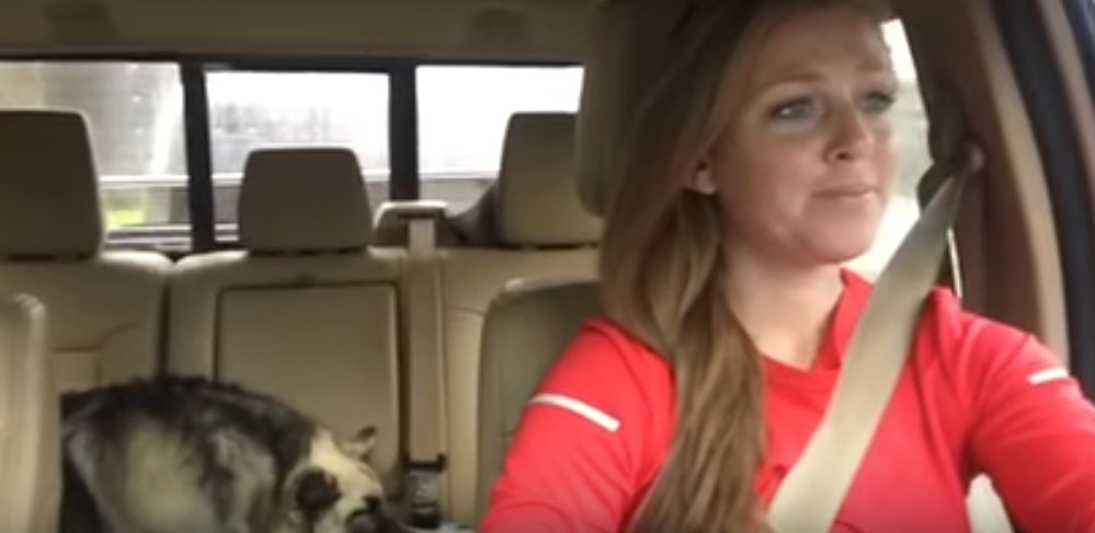 Mom and dog are enjoying a ride. When the music starts, neither can hold back