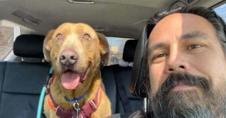 Man Who Swore He’d Never Stop Looking For His Lost Dog Finally Finds Him After 4 Years