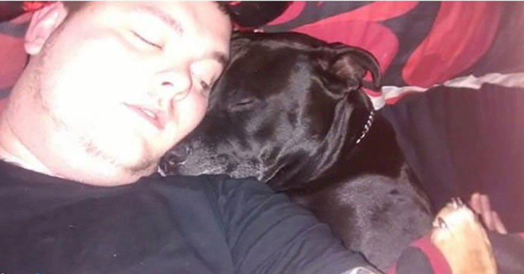 Man Decides To Take His Own Life – Then Realizes What’s In His Dog’s Mouth
