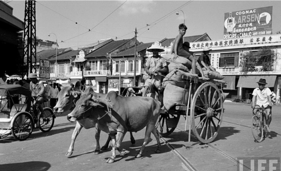 Những hình ảnh quý về Chợ Lớn (Sài Gòn) thập niên 1950 - một “Tiểu quốc Hoa Kiều” ở Việt Nam _ GXNC