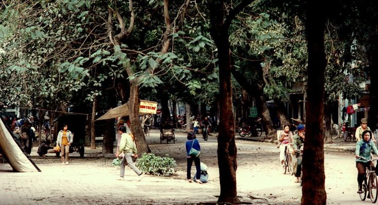 Mát mắt với những con đường rợp bóng cây ở Hà Nội năm 1990 _ Lối Cũ