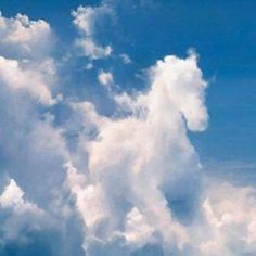 Unveiling the Enchantment of the Sky: Discerning Animal Shapes in the Clouds.