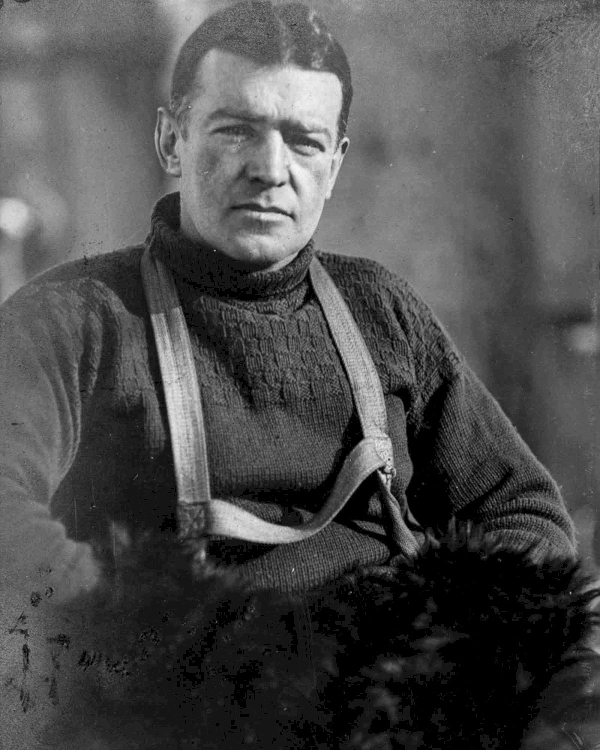 Shackleton’s Expedition to Antarctica on The Endurance: The ...