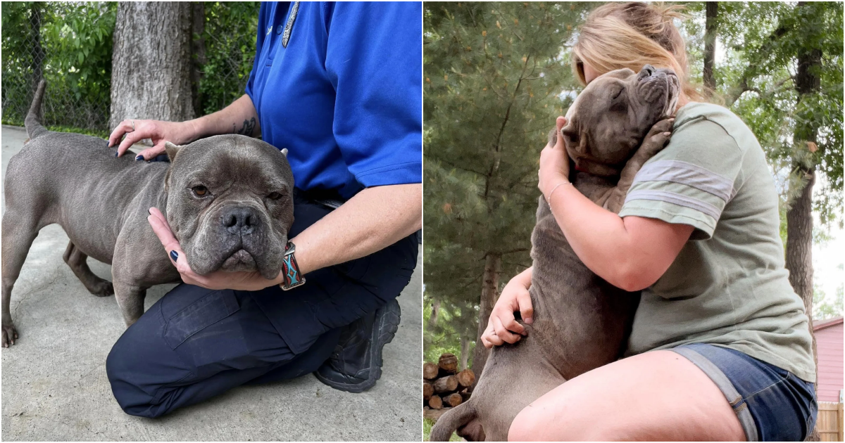 A Touching Moment: An Overwhelming Expression of Gratitude by a Rescued Dog in a Hug