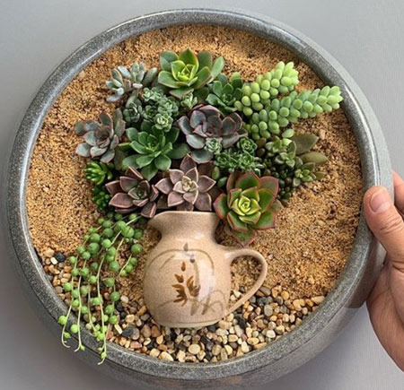 39 Wonderful DIY Small Colorful Succulent Flower Garden Pots in Pots: Decorative Trends