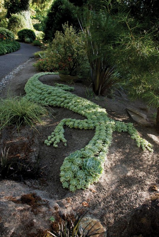 27 Succulent Garden Ideas to Infuse Uniqueness and Creativity into Your Outdoor Oasis