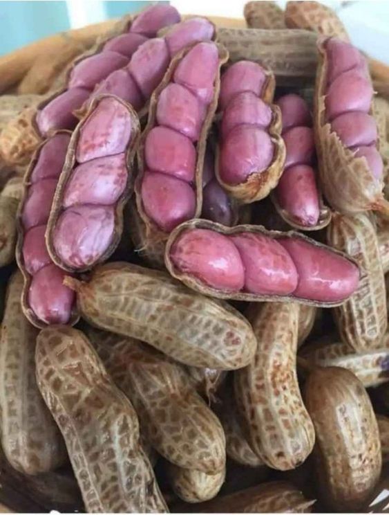 Peanuts' Enchantment: Exploring the Allure of a Delightful Nut with an Intriguing Past, Nutritional Abundance, and Culinary Versatility