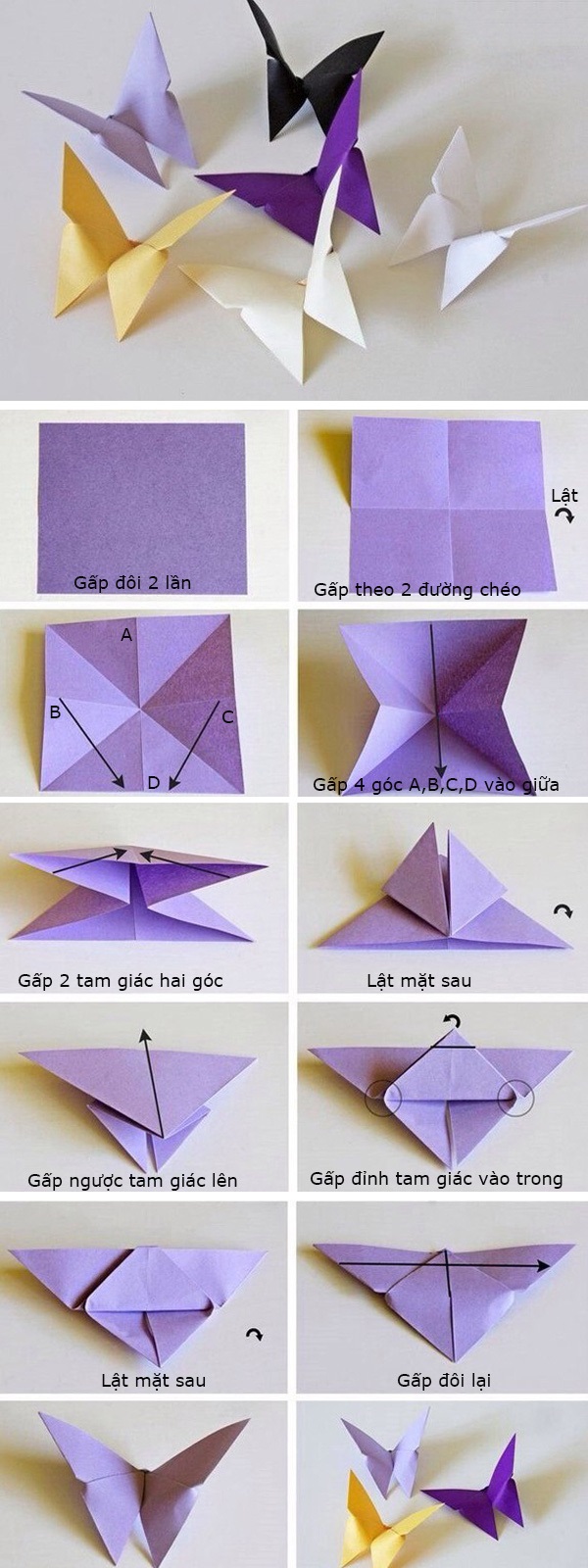 Nguồn gốc Origami và một số cách gấp hoa Origami dễ làm.