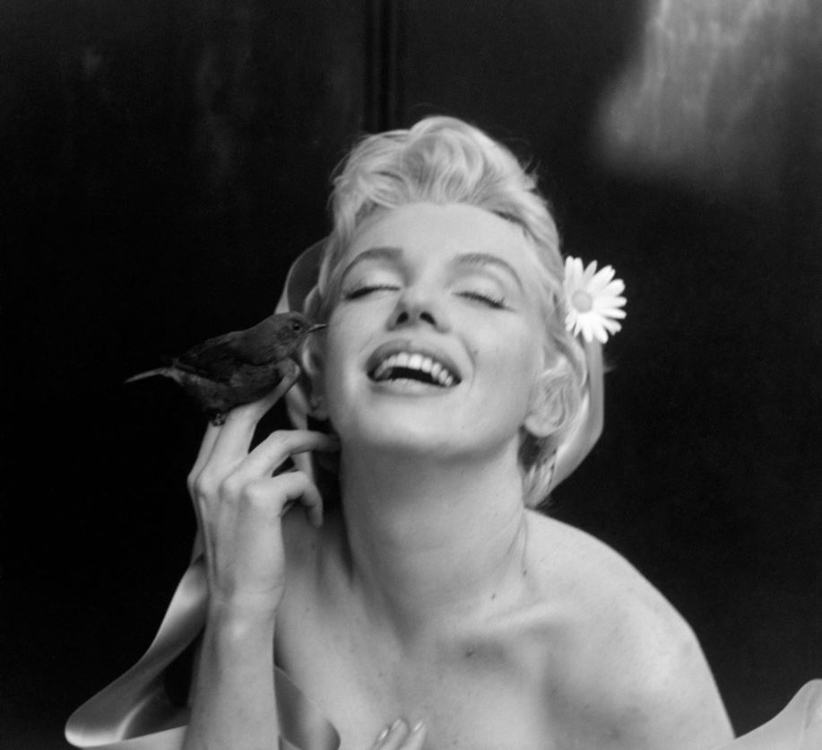 Marilyn Monroe: Captivating the Ages - Unmasking the Enduring Allure of ...
