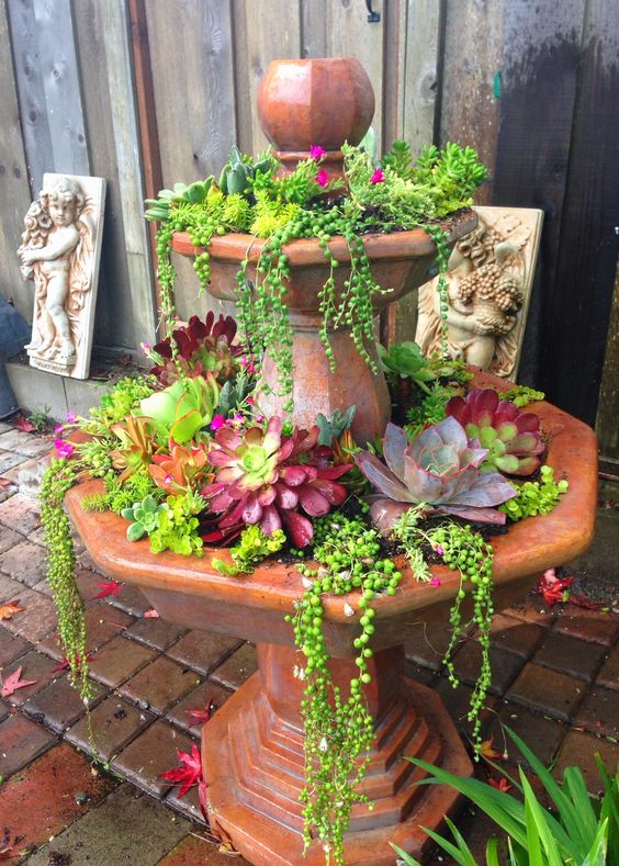 Arrange succulents on old fountains. How to mix the colors of ...